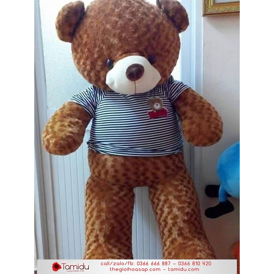 Gấu Teddy 1M Giá Siêu Rẻ