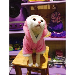 Áo Cosplay cho chó mèo