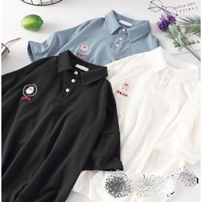 Áo Thun Polo Nam Nữ, Áo Phông Unisex Form Rộng Freesize 40kg - 55kg | BigBuy360 - bigbuy360.vn