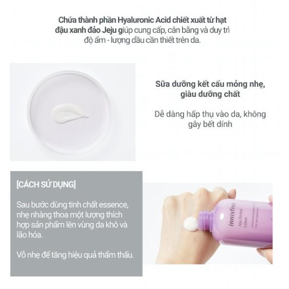 Sữa dưỡng ngăn ngừa lão hóa sớm từ hoa lan Innisfree Jeju Orchid Lotion 160ml