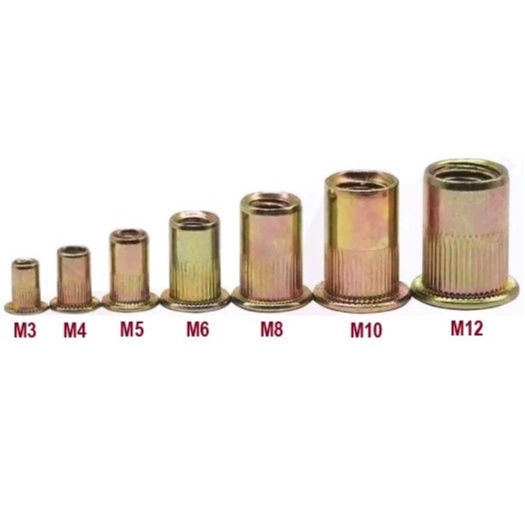 10 Đinh Tán Rút Ren Ecu M3 Đến M12