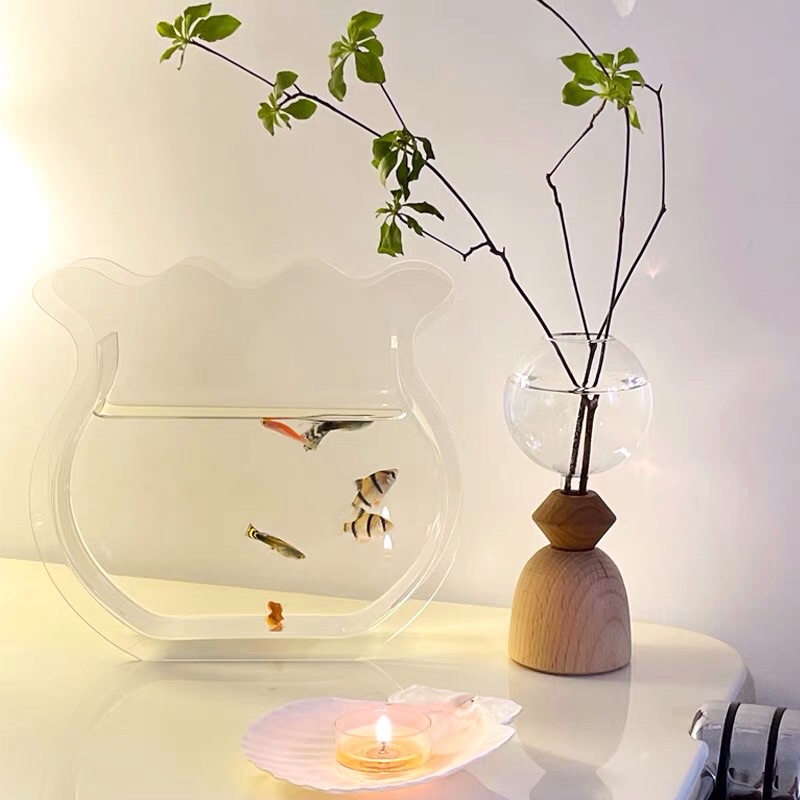 Bể cá trong suốt acrylic
