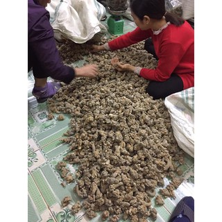 100g bột tam thất bắc