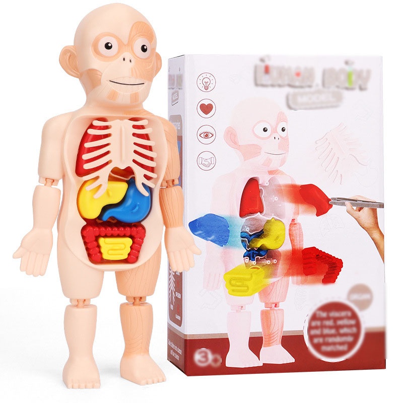 Mô Hình Đàn organ DIY Đồ Chơi Cho Bé GYLMY386