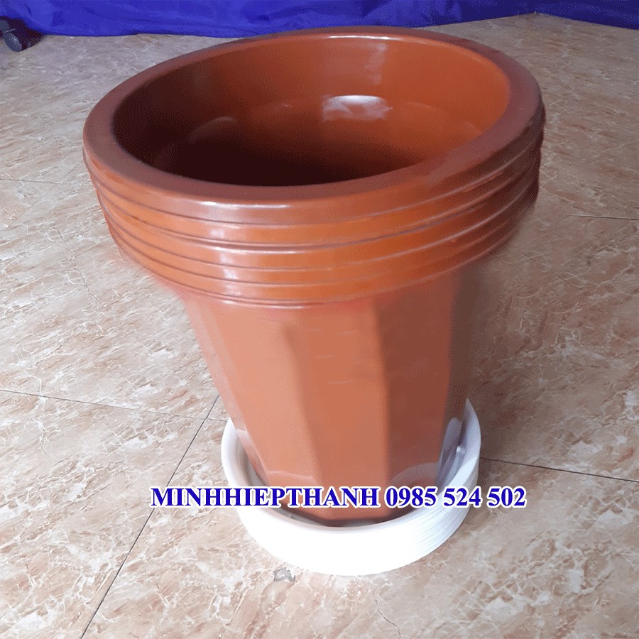 combo 5 chậu ươm E330 + 5 đĩa lót chậu