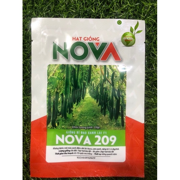 HẠT GIỐNG BÍ ĐAO XANH LAI F1 NOVA 209 chất lượng cao