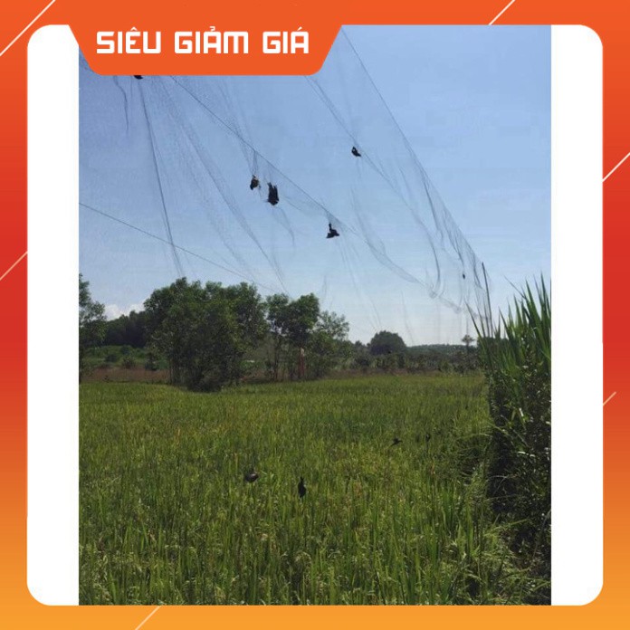 [Combo] [Combo] [Xả Kho] Lưới bẫy chim chào mào, họa mi, chòe Cao 5m, độ dài tùy chọn, Lưới Chim Thái Lan [Giá rẻ] [Giá
