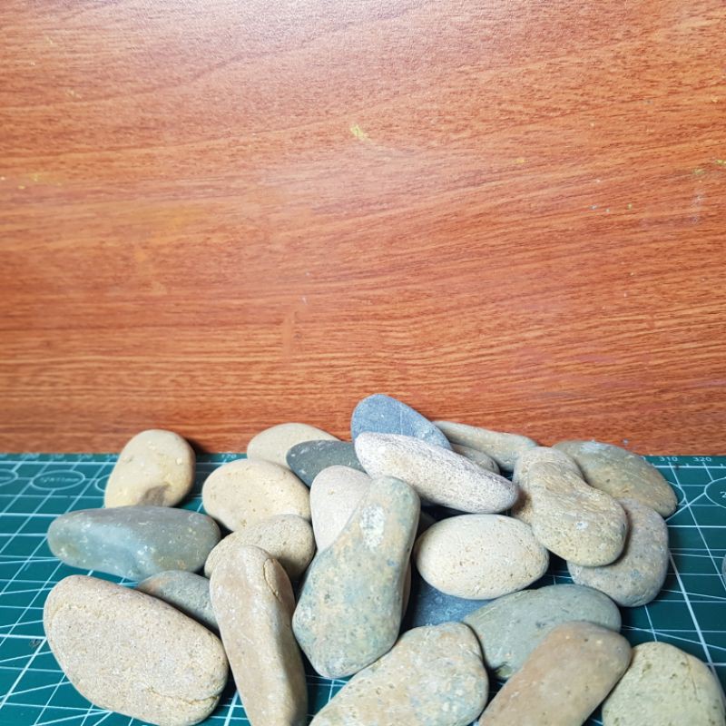 ĐÁ CUỘI SIZE NHỎ BÁN 1 KG