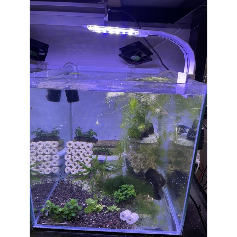 Đèn led kẹp RGB M-180 / M-280