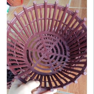 10 Chậu trồng lan mới về rộng 20cm x10cm