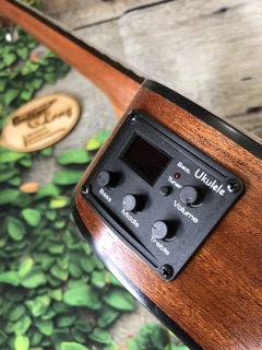 Đàn Ukulele Concert Gỗ Thông EQ-CB25