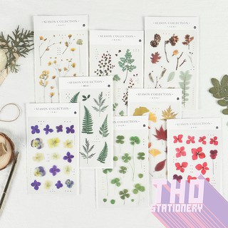 Sticker hoa vintage trong hình dán trang trí sổ tay bullet journal dụng cụ dán planner SEASON COLLECTION