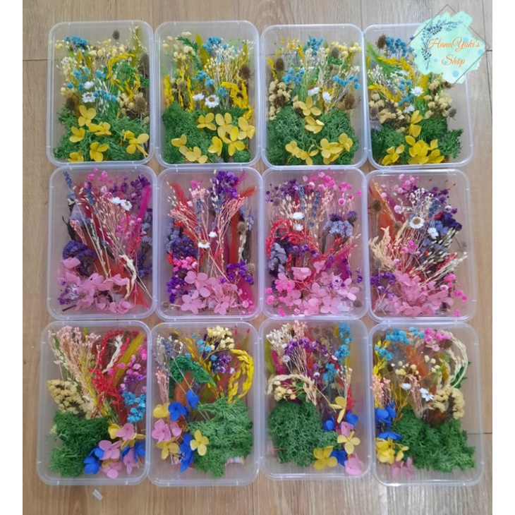 Hộp Hoa Khô mix 10  loại hoa ngẫu nhiên dùng trong handmade ( Resin, tranh hoa, nến, xà phòng, sáp thơm)