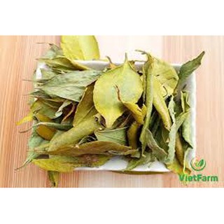 Trà lá Dung Vân Canh – Bình Định