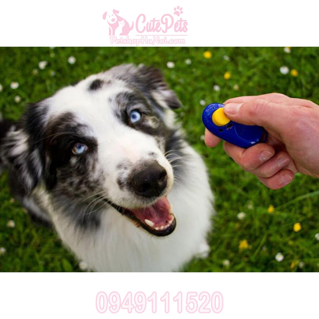 Clicker huấn luyện chó - CutePets Phụ kiện thú cưng Pet Shop Hà Nội