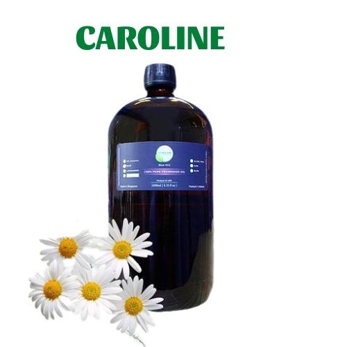 Tinh dầu Cúc La Mã CAROLINE 500ml/1000ml