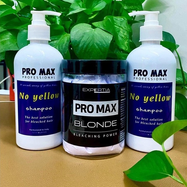 Combo Thuốc tẩy tóc, Bột tẩy tóc ProMax và Dầu gội tím ProMax siêu khử vàng - Shop Hair