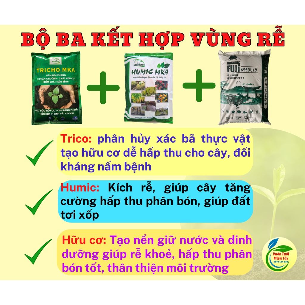 Trichoderma MKA hữu cơ vi sinh nấm Trico