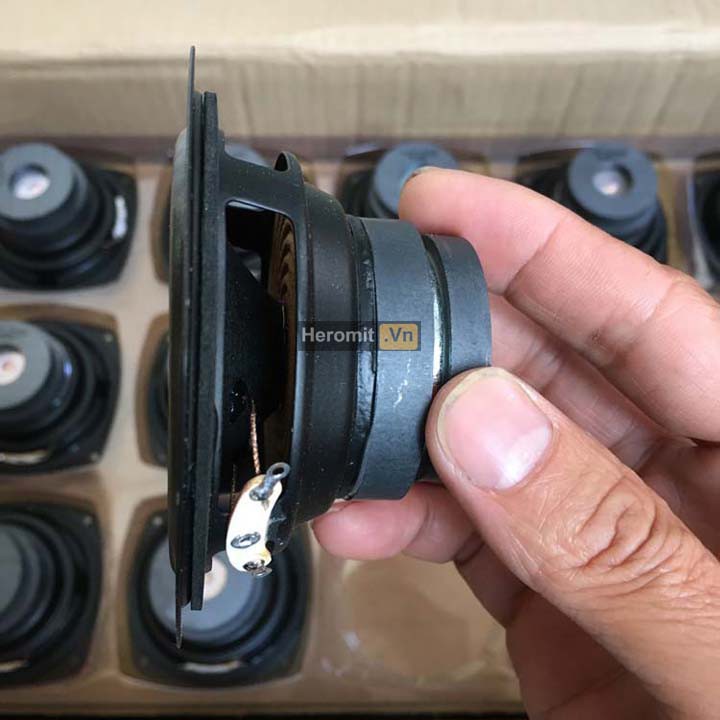 Loa toàn dải Philip từ kép chất lượng cao 10W-25W 6R