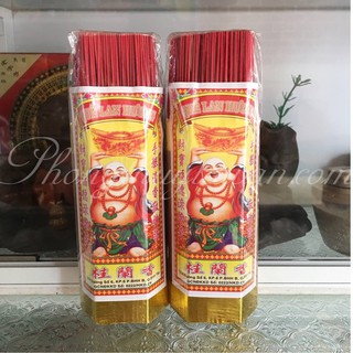Nhang Chung cư cây lùn thơm 20 cm(300 nén)⚛️Quế Lan Hương