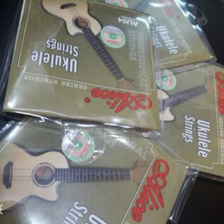 Bộ dây đàn ukulele ( hình thật )