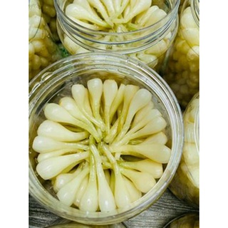 Củ Kiệu Ngâm Giá Sỉ - Hủ To