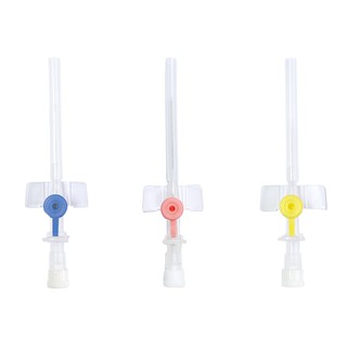 combo 10c kim luôn có cánh