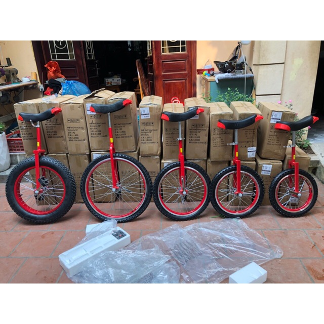 Xe đạp một bánh 16 inch