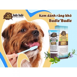 Bộ chăm sóc răng miệng cho chó mèo