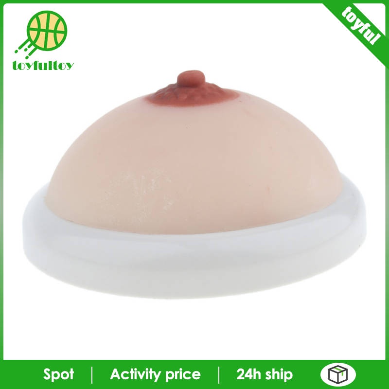 [Hàng mới về] Mô hình ngực bằng silicon dùng trong giảng dạy