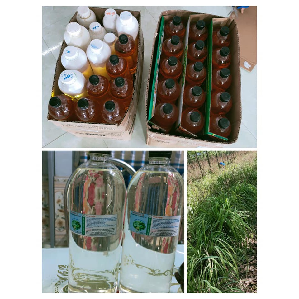 Tinh dầu thiên nhiên:  SẢ CHANH - QUẾ - BẠC HÀ - SẢ JAVA THƠM LỪNG  1 LÍT- 500ML