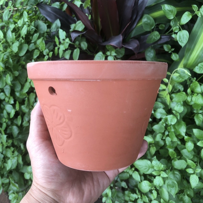 Chậu đất nung đủ size