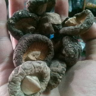 Nấm đông cô vừa 100gr