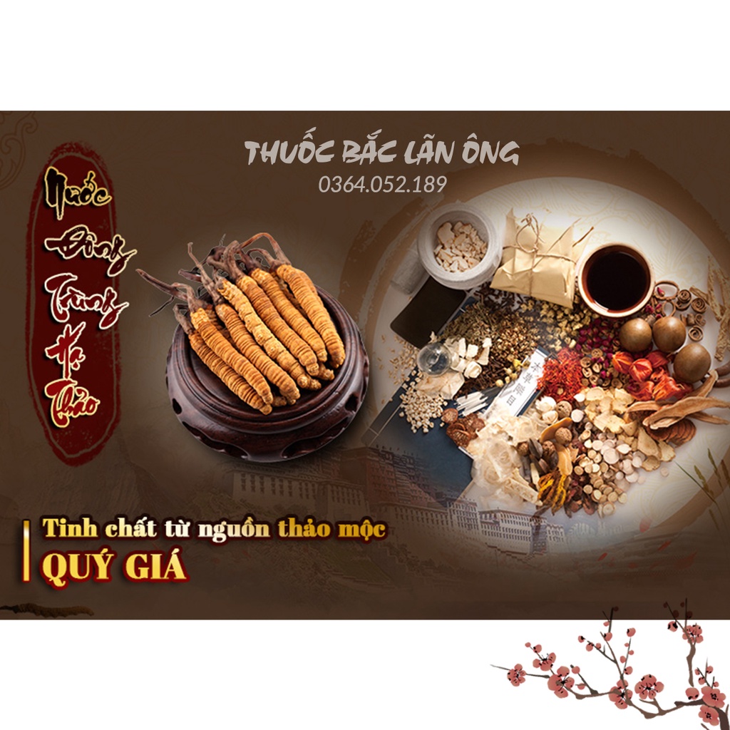 Nước đông trùng hạ thảo nguyên chất Hàn Quốc (Hộp 10 Chai x 100ml) - Thuốc Bắc Lãn Ông