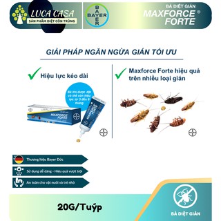 Diệt Gián Maxforce Forte - 20gram - Bayer - Pháp