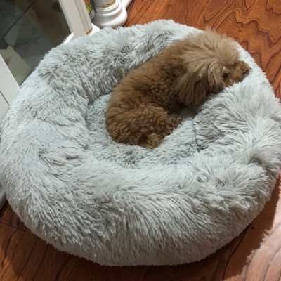 Chuồng chó giường Mèo Teddy Bomi Samoyed Thu Đông tổ ấm mùa đông vật nuôi chống bẩn giường ngủ