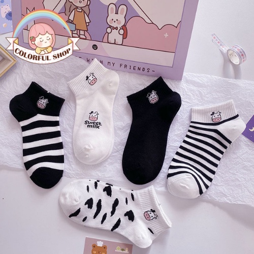 Set 6 Tất Cổ Ngắn Nữ Họa Tiết Con Bò Hàn Quốc  - Kháng khuẩn