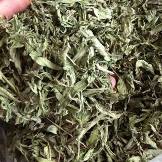 Cây cỏ ngọt khô