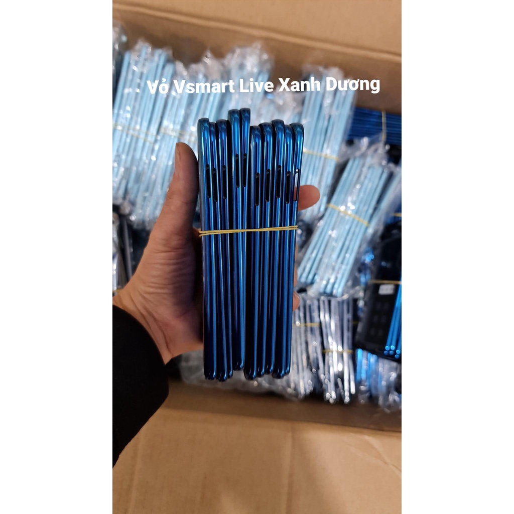 Nắp Lưng Sau Vsmart Live - Chính hãng