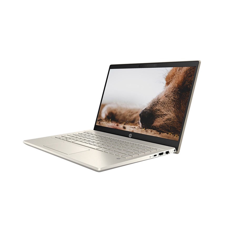 Laptop HP Pavilion 14-dv0507TU (46L76PA)/ Gold/ Intel Core i7-1165G7 (up to 4.70 Ghz, 12 MB)/ RAM 8GB DDR4/ 512GB SSD