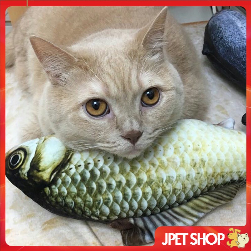 Cá Catnip Nhồi Bông Đồ Chơi Cho Mèo (giao ngẫu nhiên)- jpet shop