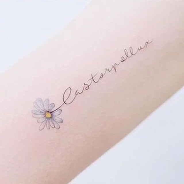 TATOO DÁN (chọn ngẫu nhiên)  BTool Set