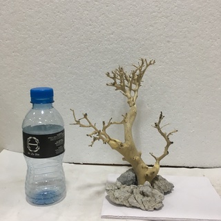 Layout, bố cục lũa thủy sinh bonsai ghép đá, bonsai lũa