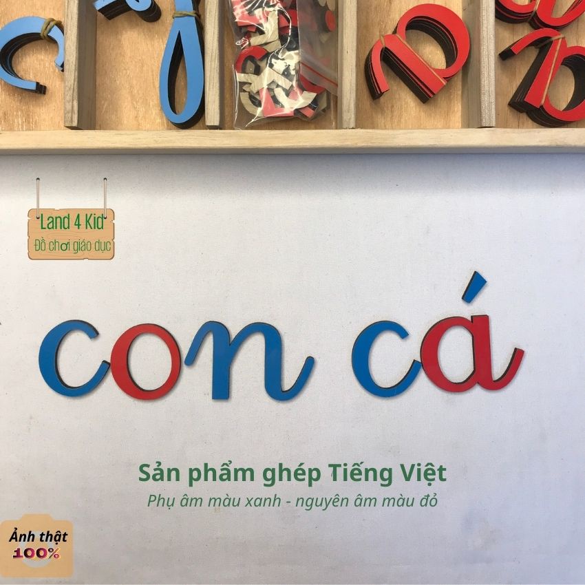 Đồ chơi giáo dục sớm cho bé - giáo cụ Montessori 3 6 - Bộ chữ cái rời viết thường song ngữ Anh Việt MR6 Land 4 kid