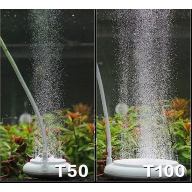 Đĩa sủi siêu mịn , dùng cho bể cá cảnh , bể thủy sinh , trang trí bể cá