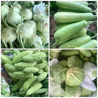 GIAO HOẢ TỐC -ĐỦ LOẠI RAU SẠCH & CÁC LOẠI CỦ QUẢ TƯƠI TRONG