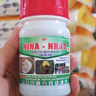 Sơ đen xì mũ thán thư trên cây mít
