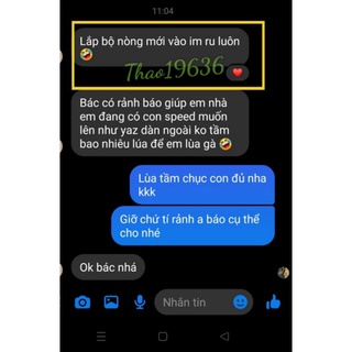 Lòng Xipo 120 ( Indo Standa )