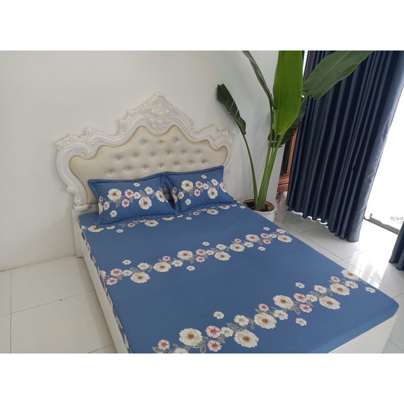 Bộ ga giường, vỏ gối cotton 100% ga chun size 1m6 1m8 x 2m