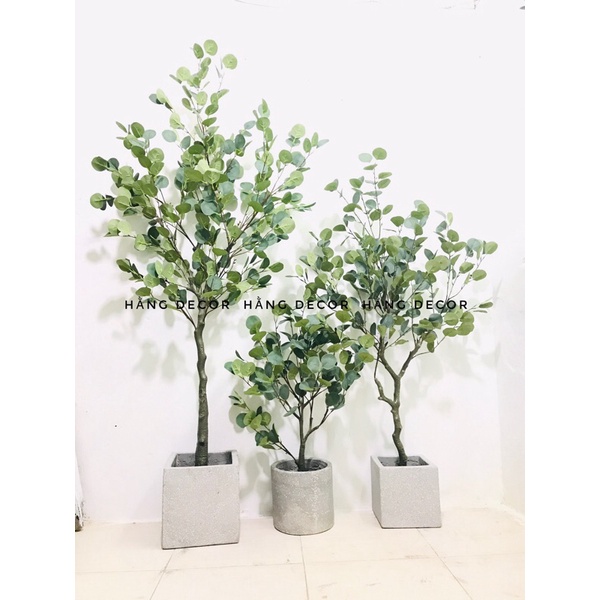 Chậu xi măng vuông, trụ hằng decor